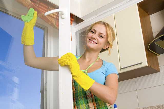Women cleaning a window 3