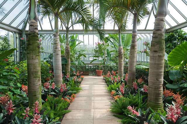 Tropical Greenhouse