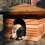 How To Build Dog House
