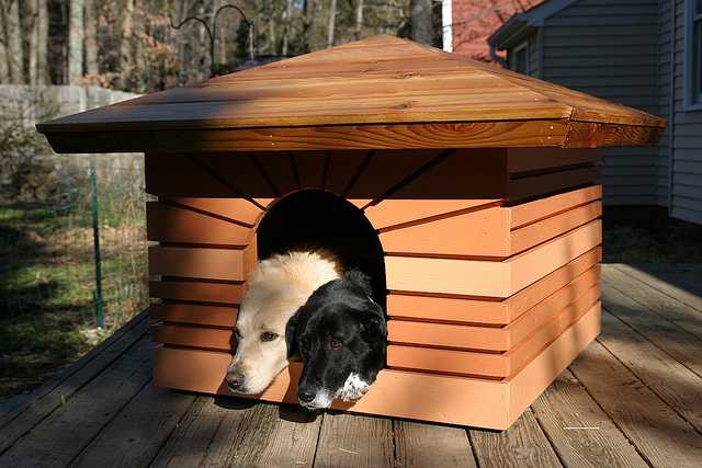 Dog house inspired by Frank Lloyd Wright's Heurtley House