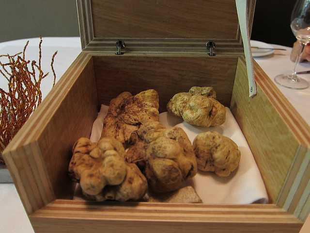 White Truffles