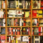 How to Clean a Big Dusty Bookshelf – the Ultimate Guide