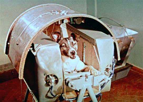 SPUTNIK II SPACE DOG