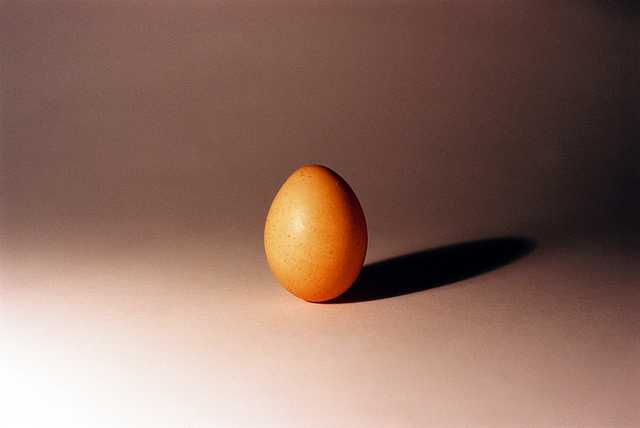 egg [Olympus OM10]